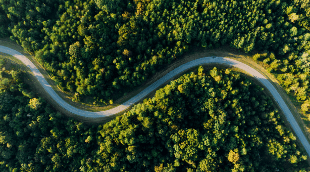 1.png - AML House Aerial view of winding road through lush green forest